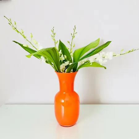 Dimora Mantelli * Mestre