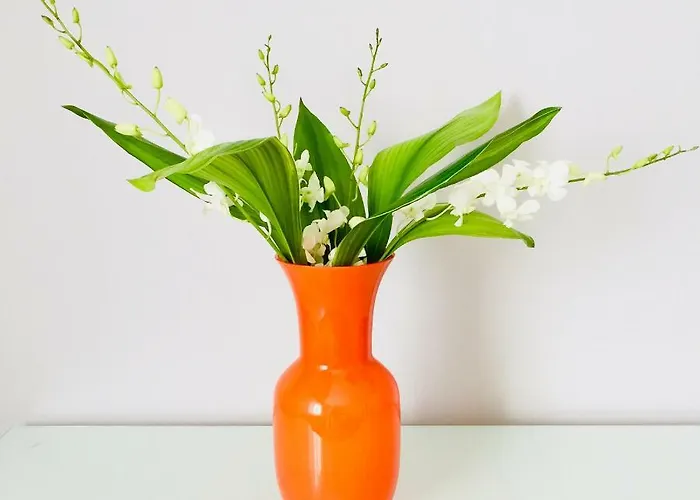 Dimora Mantelli * メストレ