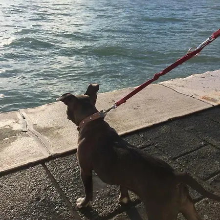 Апартаменты Dimora Mantelli Местре