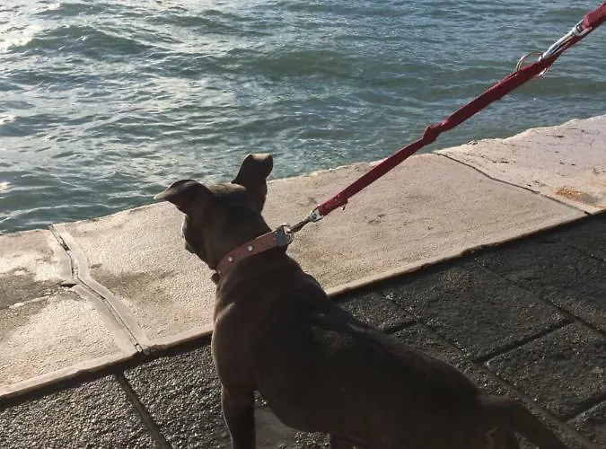 Appartement Dimora Mantelli Mestre